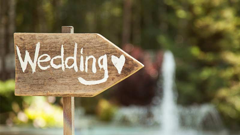 Wedding Plan Blog 1