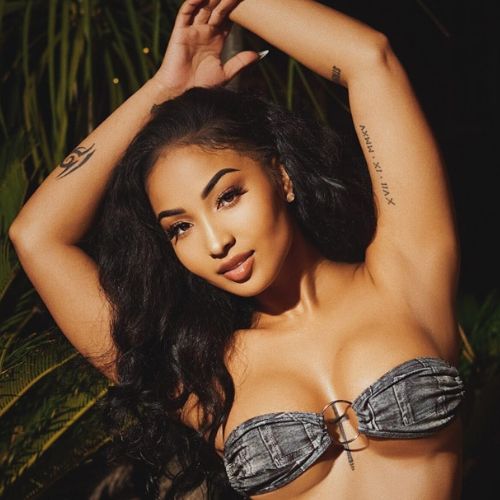 shenseea 500X500