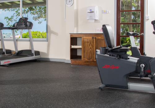 BJH gym 500 X350